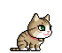 cat 34